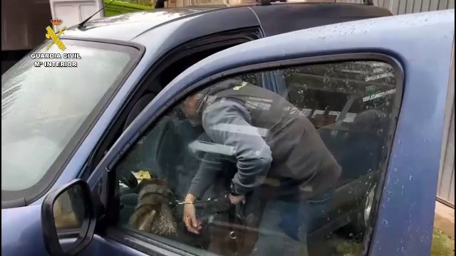 Detenido por disparar con un arma de fuego desde la ventana de su casa