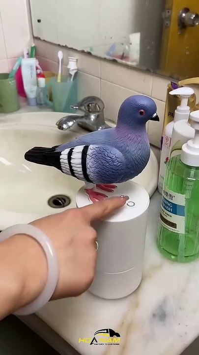 pigeon 🤣hand wash🤣🤣🤣