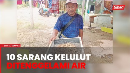 'Tidak sempat tuai hasil'