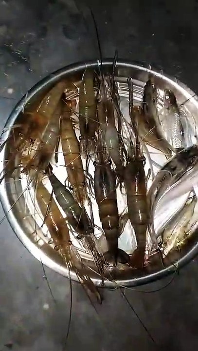 VID-20241203-WA0017