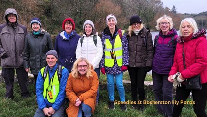 Steps2Health November walks in Tenby and surrounds
