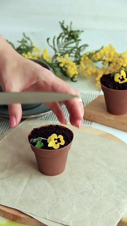 Food Craft