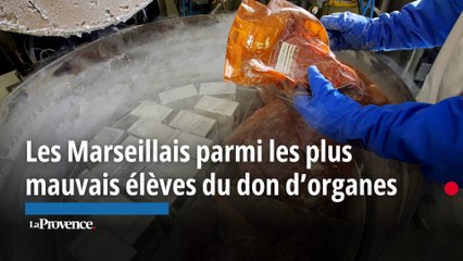 Les Marseillais  parmi les plus mauvais élèves du don d'organes