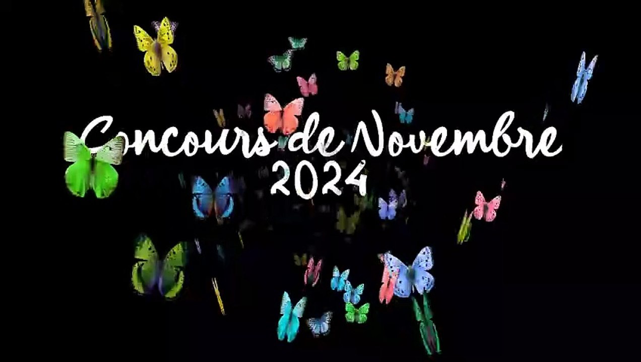 1 NOVEMBRE 2024