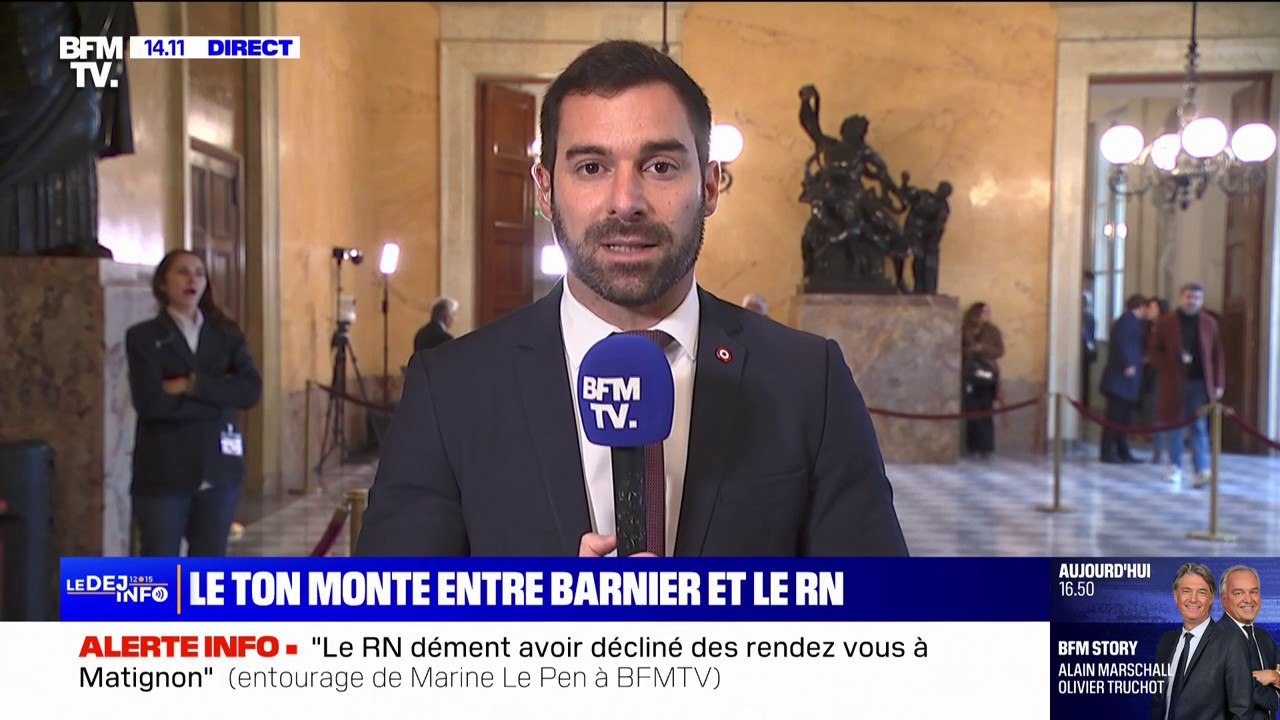 Motion de censure: "La gauche propose mais c'est le RN qui dispose", affirme Julien Odoul, député RN