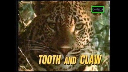 Cazadores: Garras y Colmillos - Documental (1994) Español Latino *Episodio 2