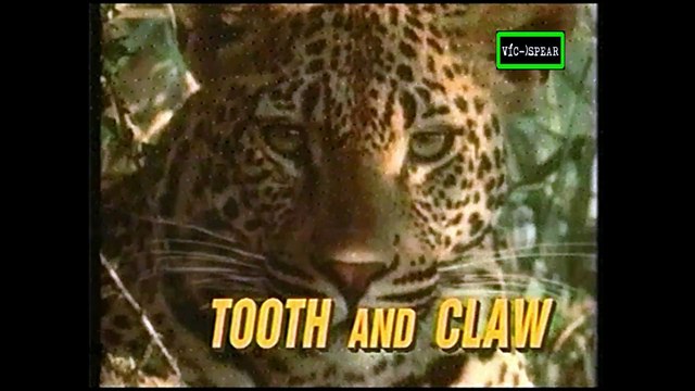 Cazadores: Garras y Colmillos - Documental (1994) Español Latino *Episodio 2