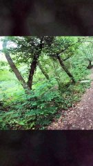 Airsoft France : grosses gamelles !