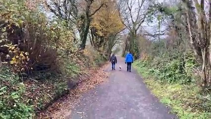 Daniel Mumby FB live Shepton Mallet Strawberry Line