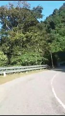 sessa to tippi arunachal