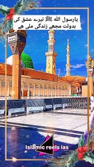 یارسول اللّٰه ﷺ تیرے عشق کی بدولت مجھے زندگی ملی ھے    #islam #islamicreels_ias #madina #makkah  #viral #like #share #follow #tuesday #03de