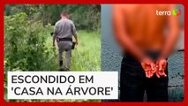 Homem condenado a 20 anos de prisão é detido pela polícia no topo de árvore em Goiás