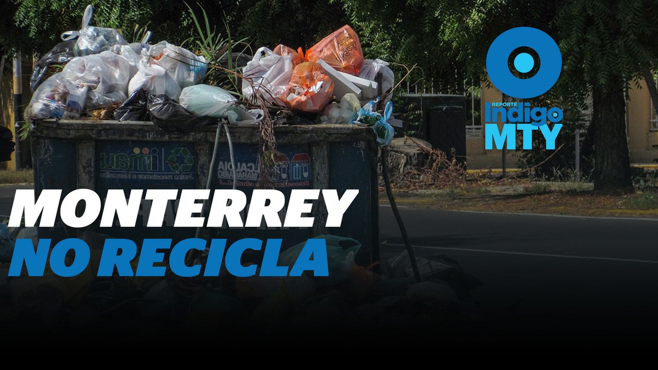 Nuevo León, sin cultura de reciclaje | Reporte Indigo