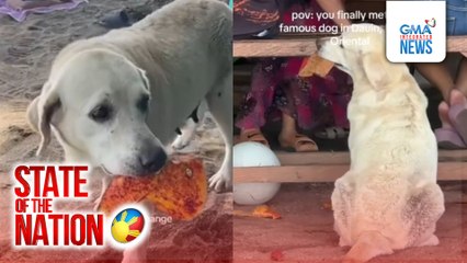 Aso sa isang resort, namumulot ng dahon para gawing pambayad kapalit ang pagkain | SONA