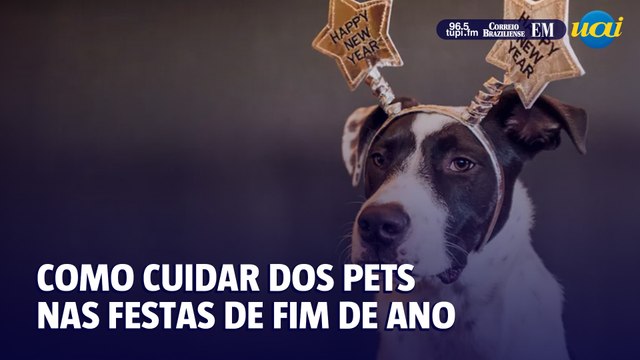 Como evitar estresse de pets nas festas de fim de ano