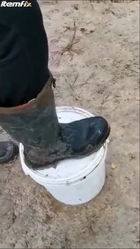 Une loutre adorable refuse de retourner dans son lac...