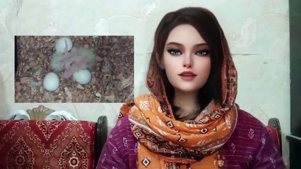 Shohar ko qabu Karne ka wazifa