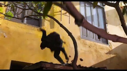 Proyecto Géminis Tráiler oficial doblado al español en Netflix