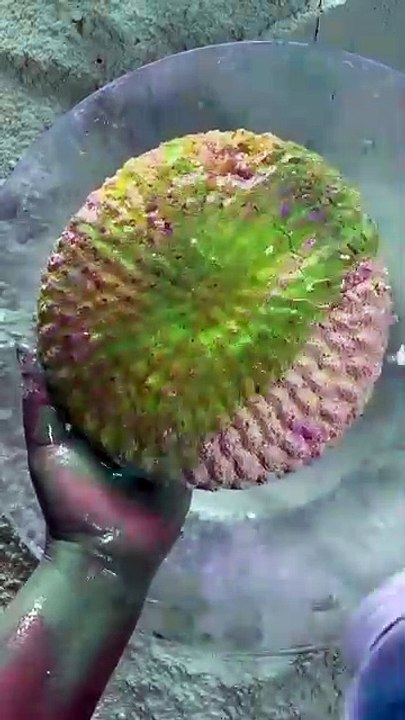 Asmr triple decker topping