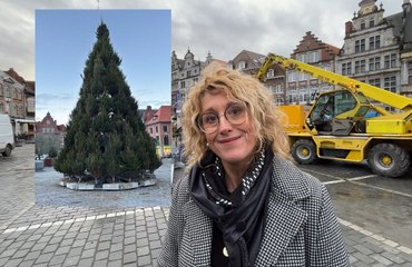 Mon beau sapin en kit sur la Grand-Place de Tournai