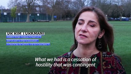 'Beyond capacity' of rebels to govern captured parts of Syria: analyst