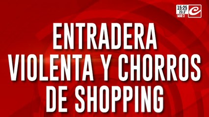Entradera violenta y chorros de shopping: cayó "Piraña", "Toper" y "Nata"