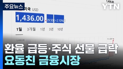 환율 뛰고 주식선물 급락...해제 요구 의결에 진정 / YTN