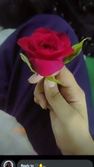 Rose #viral #trending #viralfeed