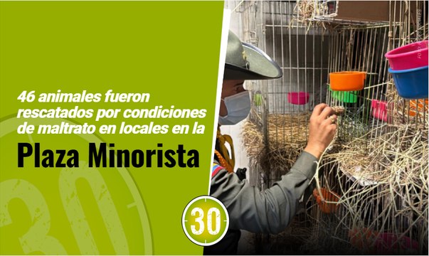 46 animales fueron rescatados por condiciones de maltrato en locales en la Plaza Minorista