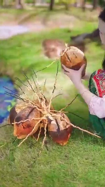 MY village Life vlog