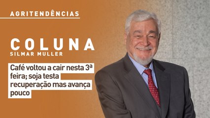 Café voltou a cair nesta 3ª feira; soja testa recuperação mas avança pouco