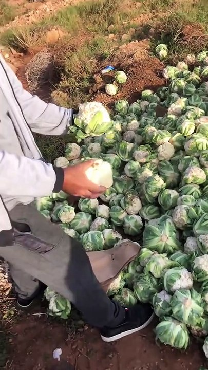 ظاهرة سلبية انتشرت عند بعض التجار مؤخراً!