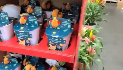 Big Box Plant Shopping at 3 Different Locations! 🌿 Home Depot & Lowe's in Westchester, NY