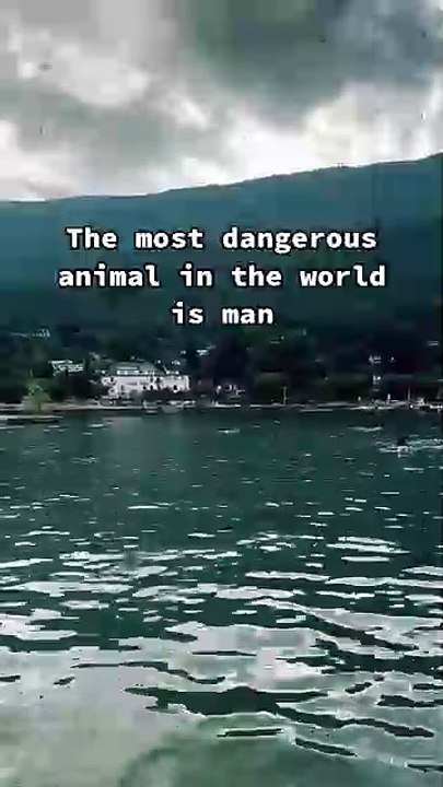The most dangerous animal in the world is man #motivation #quotes #success #mindset #motivational #motivationalvideo