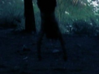 Eli eli lamma sabacthani