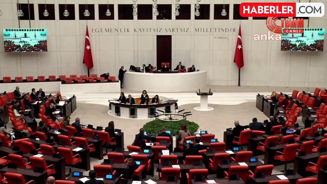 TBMM Genel Kurul... Murat Emir, 3 Aralık Engelliler Günü'ne İlişkin: Yaklaşık 80 Bin Engelli, Maaş Alamaz Bir Noktaya Gelmiş