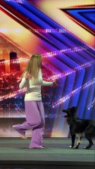 Funny vedeos .dog dance