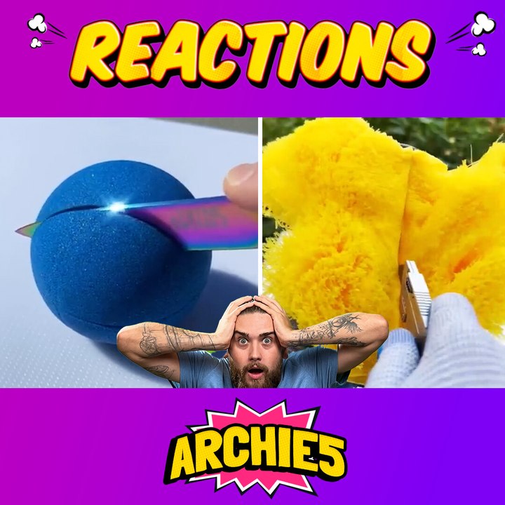 What Makes These Viral Videos of 2024 So Popular?! 🧐🔥 The Dudes React!