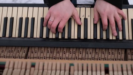 THE MUSICAL CARROUSEL OF  1761 - THE SOUND OF 1761's ORGAN FESTIVITIES