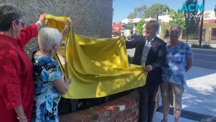 Wodonga water tower centenary | The Border Mail | December 4, 2024