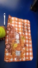 VID_20241203_164458832