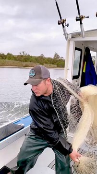 ,,,,,,,,Fisher man caching fishes,,,,,,,,