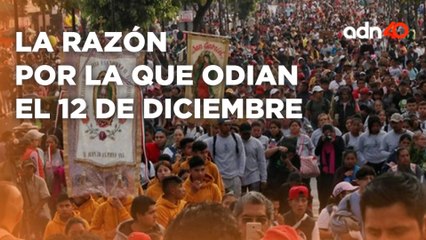 No todos los quieren, por esta razón odian las peregrinaciones a la Basílica de Guadalupe