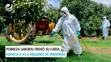 Pobreza laboral frenó su caída; abarca a 45.6 millones de personas