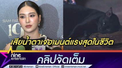 เฟิร์น นพจิรา รับเสียน้ำตา ถูกเมนต์แรงสุดในชีวิต ยันนักแสดงไม่รู้เรื่องปมวางยาแมว มองเป็นบทเรียนสัตว์ก็มีชีิวิต(คลิปจัดเต็ม)