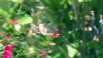 Trump pide sobreseimiento de caso por exactriz porno amparándose en indulto de Biden a su hijo