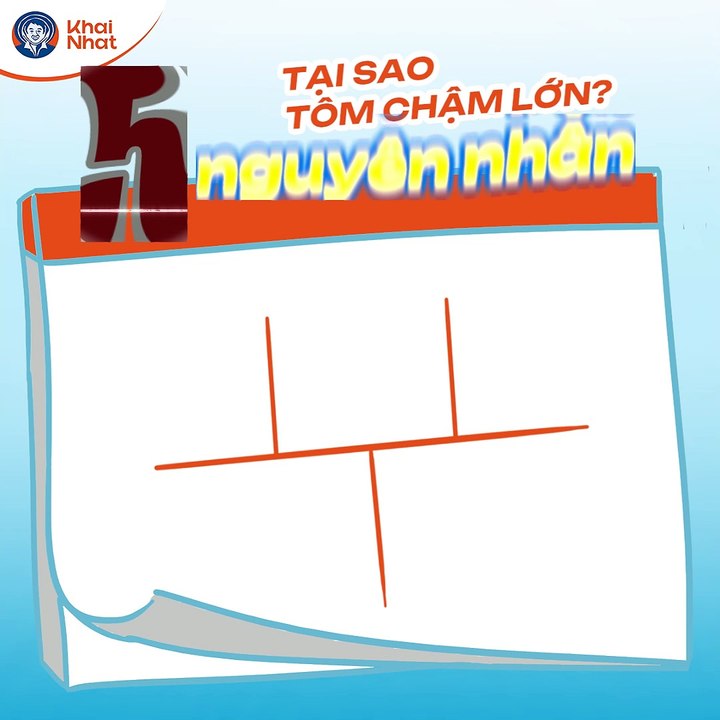 MgCl2 là gì? Tất tần tật thông tin thú vị về Magie Clorua
