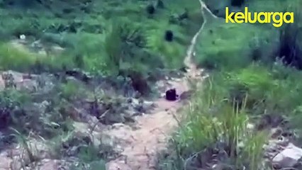 Siswa Labah-labah merangkak tawan Everest buktikan OKU bukan alasan untuk raih kejayaan