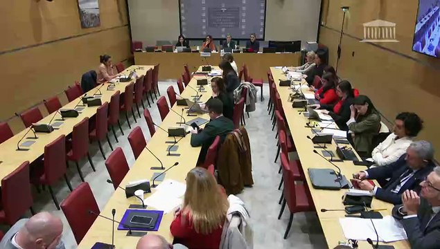 Manquements des politiques de protection de l’enfance : Mme Sarah El Haïry, ancienne ministre déléguée en charge de l’enfance, de la jeunesse et des familles ; Table ronde sur les familles d’accueil - Mardi 3 décembre 2024