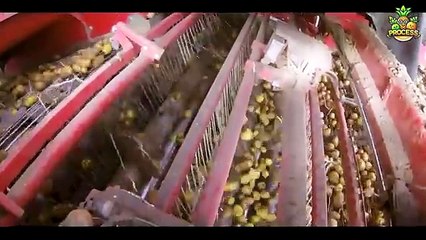 Lays Potato Chips Mega Factory: Processing Millions Of Potato Chips in Factory